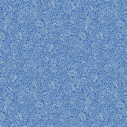 Ruby Star Society Water Fabric - Canada