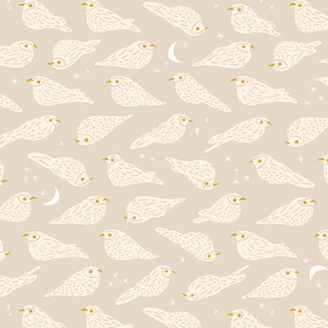 Ruby Star Society Bird is the Word Whippoorwill Sandbox - SALE 4.5 m (5 yard) Quilt Backing $59 CAD