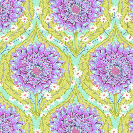 Tula Pink Untamed Daisy and Confused Nova - SALE 4.5 m (5 yard) Quilt Backing $49