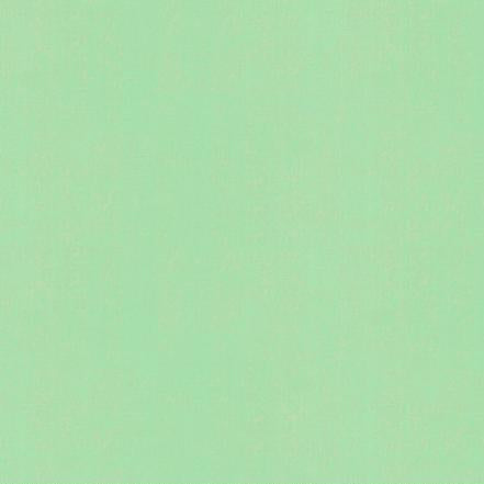 Solid light green fabric swatch 