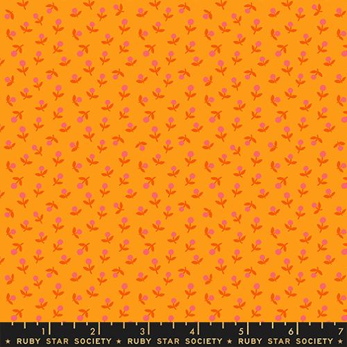 Sprout Cheddar | 1-800 Calico