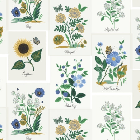 Illustrations of various flowers with names below on a white background