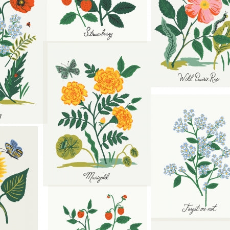 Curio Botanical Prints Canvas in Pink Multi - $33 CAD per metre