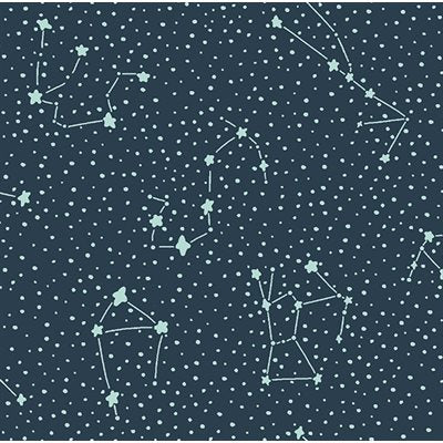 Calli and Co. Cosmic Sea | Cotton + Steel | Canada Online Store