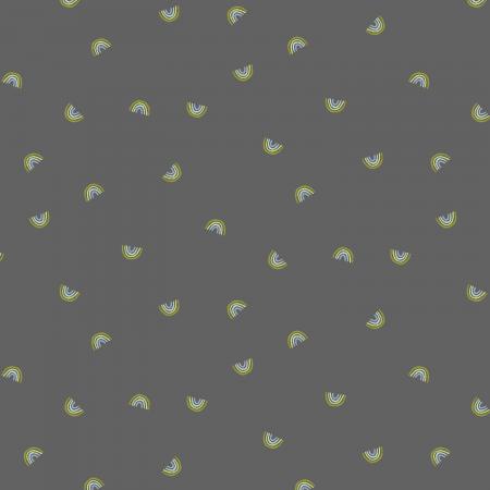 Always Look for Rainbows | Cotton + Steel Fabrics | Canada Online Store
