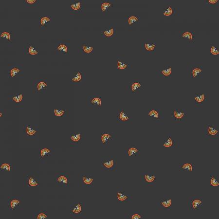 Always Look for Rainbows | Cotton + Steel Fabrics | Canada Online Store