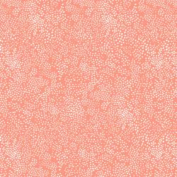 Coral Menagerie Champagne